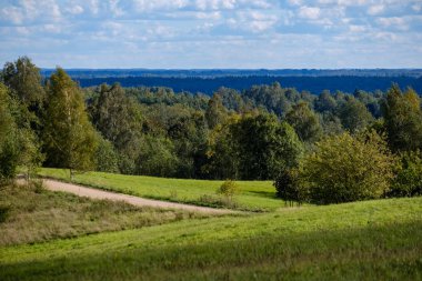Her iki tarafta, Letonya büyük ağaçları ile boş yol