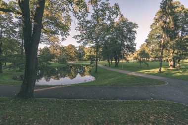Ağaçları saran ile yeşil park patika yürüyüş