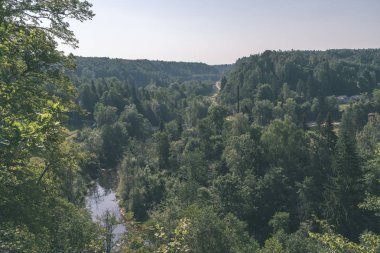 dalgalı Amata nehirde yeşil orman yaz, Letonya