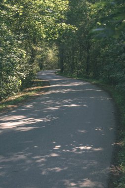 Her iki tarafta ağaçları ile boş yol