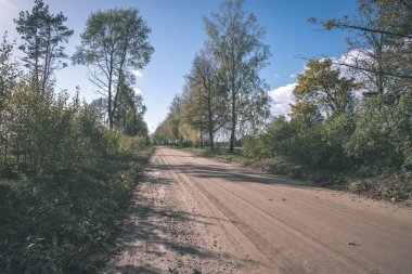 Her iki tarafta, Letonya büyük ağaçları ile boş yol