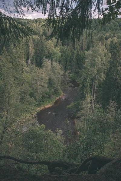 Río Amata Letonia Con Bosque Verde Verano —  Fotos de Stock