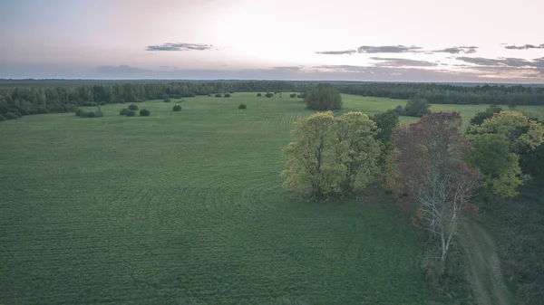 Schilderachtig Uitzicht Van Late Herfst Landschap Van Het Platteland — Stockfoto
