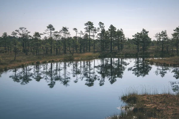 Malerischer Blick Auf Den Himmel Über Wald Und Ruhigen See — Stockfoto