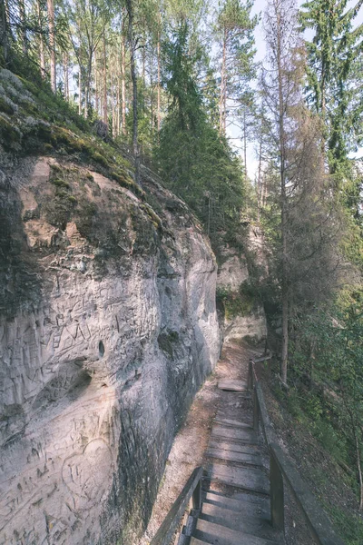 Туристична Стежка Дерев Яний Шлях Поблизу Пісковика Скелі Sietiniezis Латвії — стокове фото