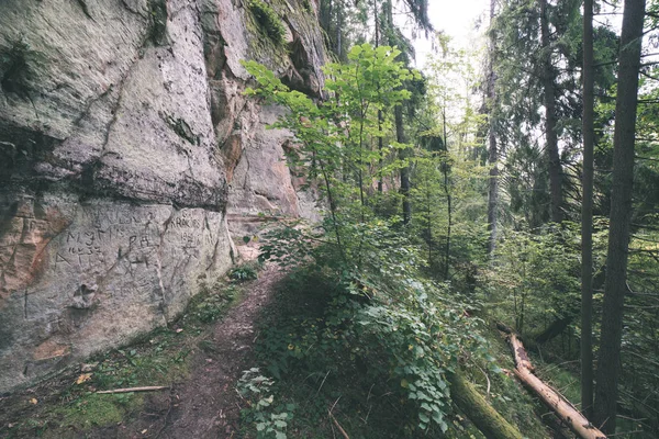 Röda Sandstensklippor Med Turist Trail Lettland — Stockfoto