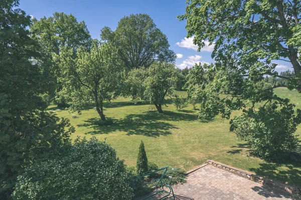 Schilderachtig Uitzicht Het Platteland Met Bomen Groen Gebladerte Zomer — Stockfoto