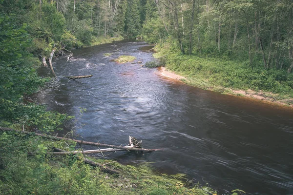 拉脱维亚阿马塔河夏季有绿色森林 — 图库照片