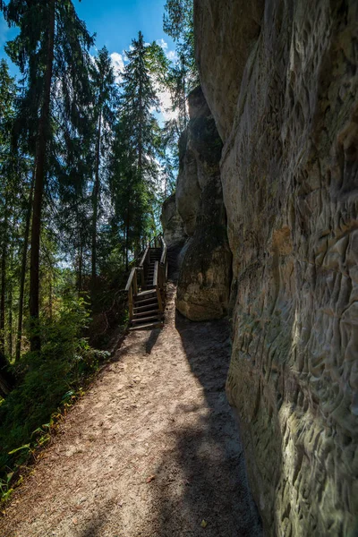 Sentier Touristique Avec Sentier Bois Dans Forêt Lettonie — Photo