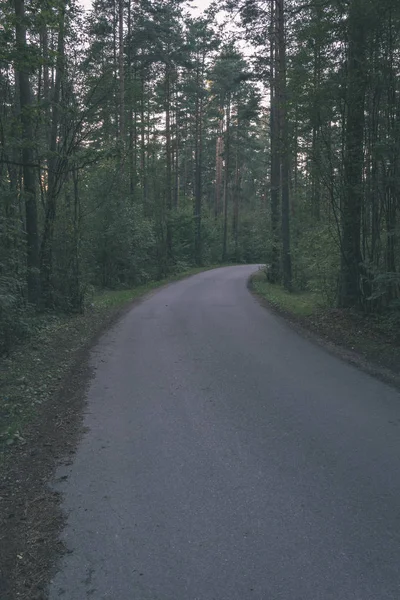 两边都是树木的空旷道路 — 图库照片