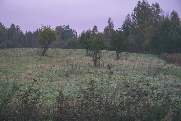 Piękny Widok Koniec Jesień Krajobraz Wiejski — Zdjęcie stockowe