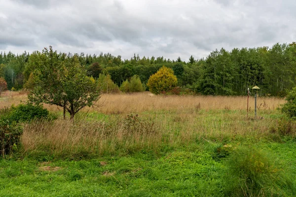 Piękny Widok Koniec Jesień Krajobraz Wiejski — Zdjęcie stockowe