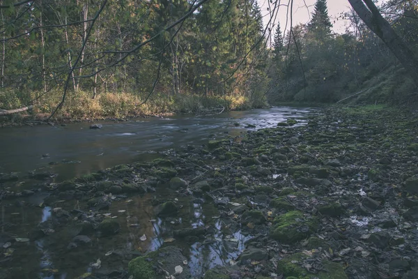 Forêt Rocheuse Amata Rivière Avec Cours Eau Bas Été Lettonie — Photo