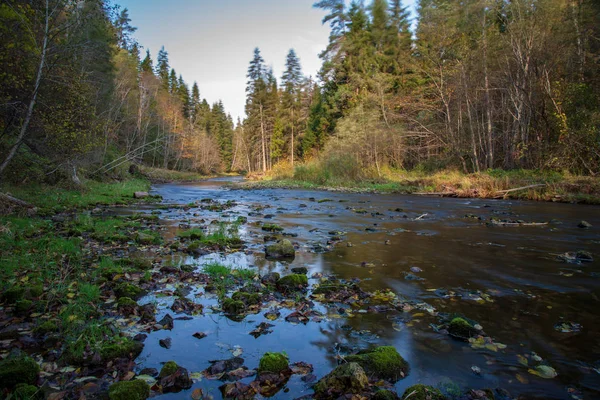 rocky forest Amata river with low stream in summer, Latvia