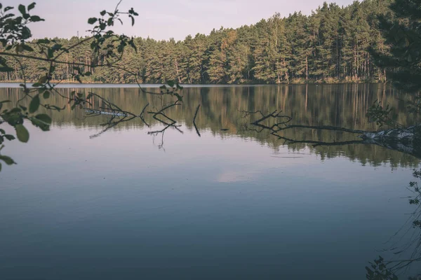 Vue Panoramique Ciel Sur Forêt Lac Calme — Photo