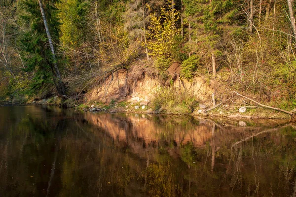 Floresta Rochosa Rio Amata Com Baixo Fluxo Verão Letónia — Fotografia de Stock