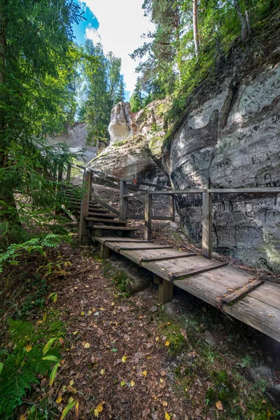 Sentiero Turistico Con Sentiero Legno Nella Foresta Lettonia — Foto Stock