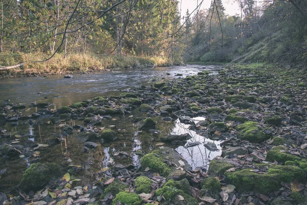 Floresta Rochosa Rio Amata Com Baixo Fluxo Verão Letónia — Fotografia de Stock