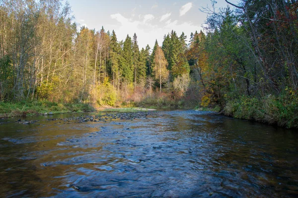 Felsigen Wald Amata Fluss Mit Niedrigem Bach Sommer Lettland — Stockfoto