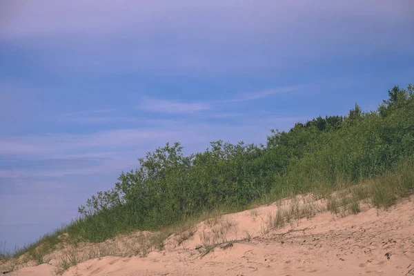 Malerischer Blick Auf Den Sandstrand Als Hintergrund — Stockfoto