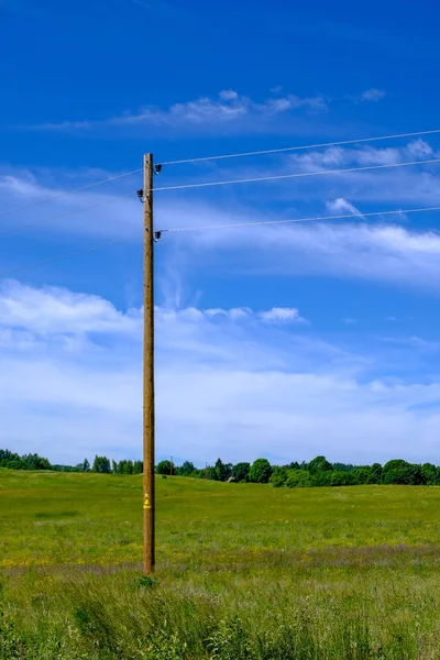 Elektrik Enh Direkleri Kırsal Ortamda Teller — Stok fotoğraf