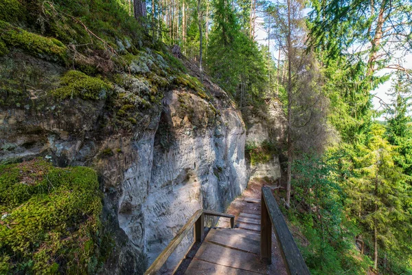 Sentier Touristique Avec Sentier Bois Dans Forêt Lettonie — Photo