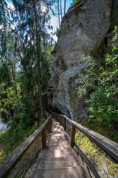 Trilha Turística Com Caminho Madeira Floresta Letónia — Fotografia de Stock