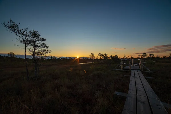 Vista Panoramica Del Tramonto Sulla Zona Paludosa — Foto Stock