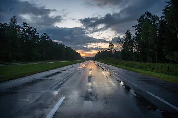 Пустая Дорога Большими Деревьями Обеих Сторон Латвия — стоковое фото
