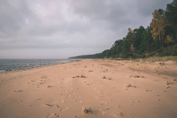 Живописный Вид Песчаный Пляж Голубое Небо — стоковое фото