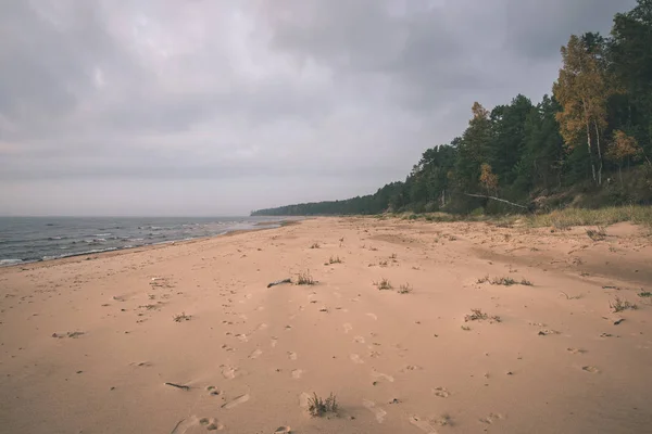 Vue Panoramique Sur Plage Sable Ciel Bleu — Photo