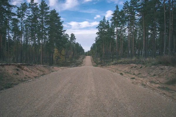 Leere Straße Mit Großen Bäumen Auf Beiden Seiten Lettland — Stockfoto