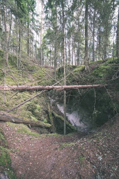 Klify Piaskowiec Czerwony Szlak Turystyczny Łotwie — Zdjęcie stockowe