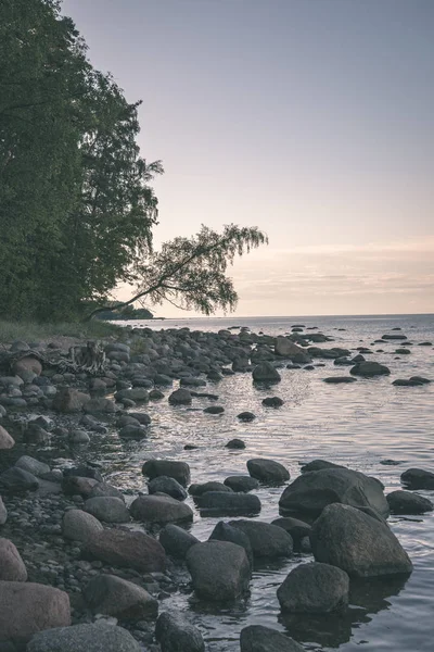 Vue Panoramique Sur Rivière Calme Avec Des Pierres Été — Photo