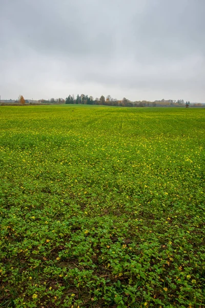 Scenic View Late Autumn Countryside Landscape — Stock Photo, Image