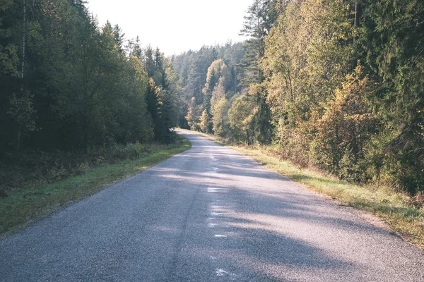 Empty Road Trees Both Sides — Stock Photo, Image