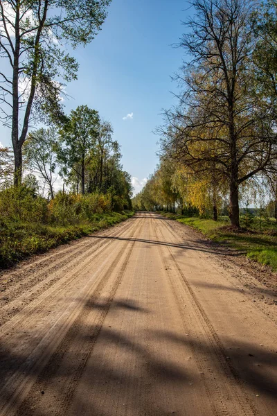 Camino Vacío Con Grandes Árboles Ambos Lados Letonia — Foto de Stock