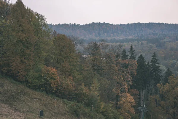 Piękny Widok Jesień Las Krajobraz — Zdjęcie stockowe