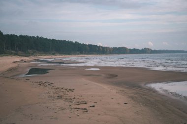 Doğal görünümü mavi gökyüzü ve kumlu plaj