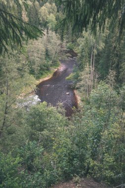 Yaz aylarında yeşil orman ile Letonya Amata Nehri