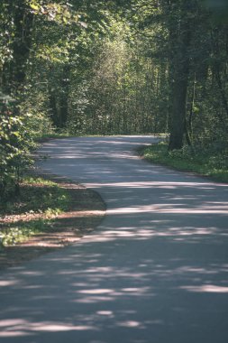 Her iki tarafta ağaçları ile boş yol