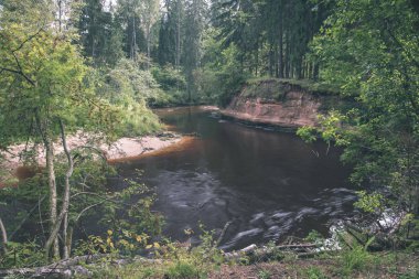 Yaz aylarında yeşil orman ile Letonya Amata Nehri