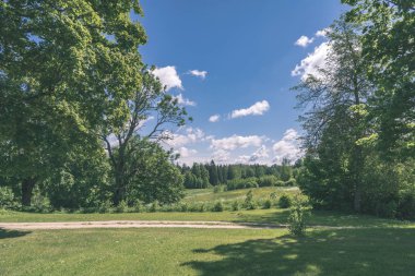 ağaçlar ve yaz aylarında yeşil bitki örtüsü ile kırsal doğal görünümünü