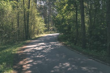 Her iki tarafta ağaçları ile boş yol