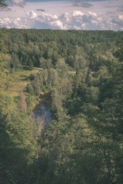 Amata nehir Letonya nehir ormanda yaz ile