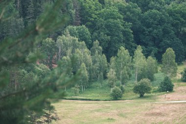 geç sonbahar kırsal manzara doğal görünümü