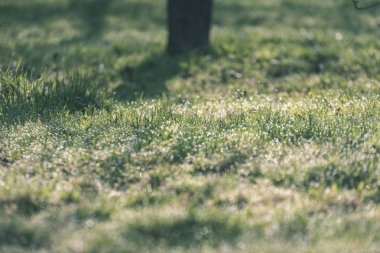 geç sonbahar kırsal manzara doğal görünümü