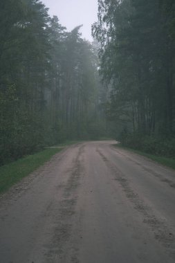 Her iki tarafta, Letonya büyük ağaçları ile boş yol