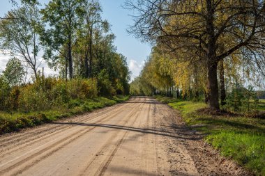 Her iki tarafta, Letonya büyük ağaçları ile boş yol