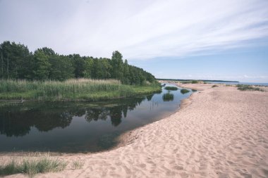 göl ve yeşil ağaçların doğal görünümü